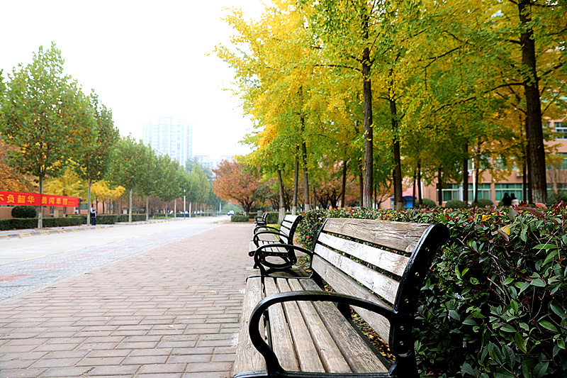 9N1A2380_副本.jpg 9N1A2380_副本.jpg