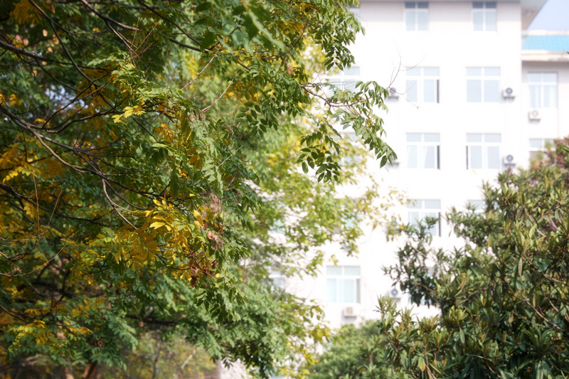 0K9A2663_副本.jpg 0K9A2663_副本.jpg