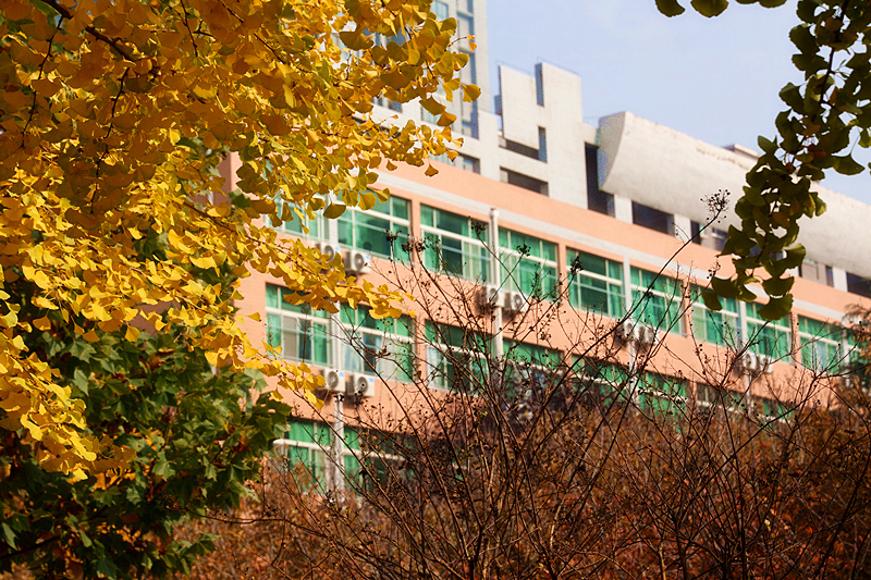 0K9A2729_副本.jpg 0K9A2729_副本.jpg