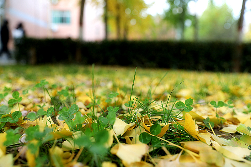 微信圖片_20251105160337_34_88_副本.jpg 微信圖片_20251105160337_34_88_副本.jpg